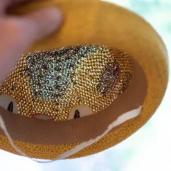 Maison Ghibli Small Hat Catbus - My Neighbor Totoro